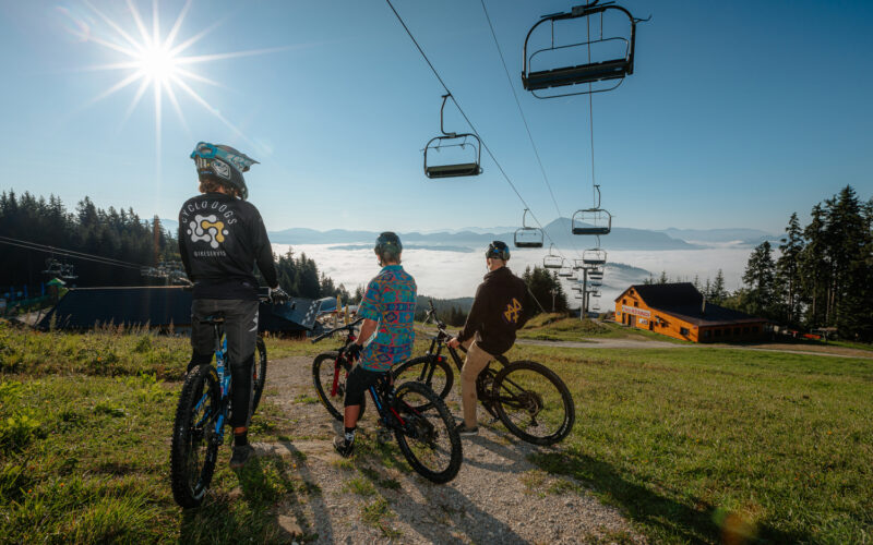 Jak prawidłowo ustawić rower górski?