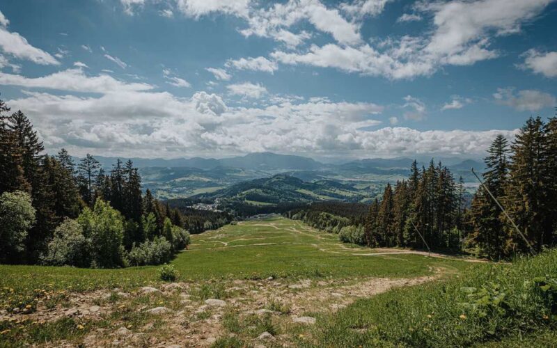 Jak smakuje Orawa: gdzie znaleźć naturalne skarby i lokalne specjały