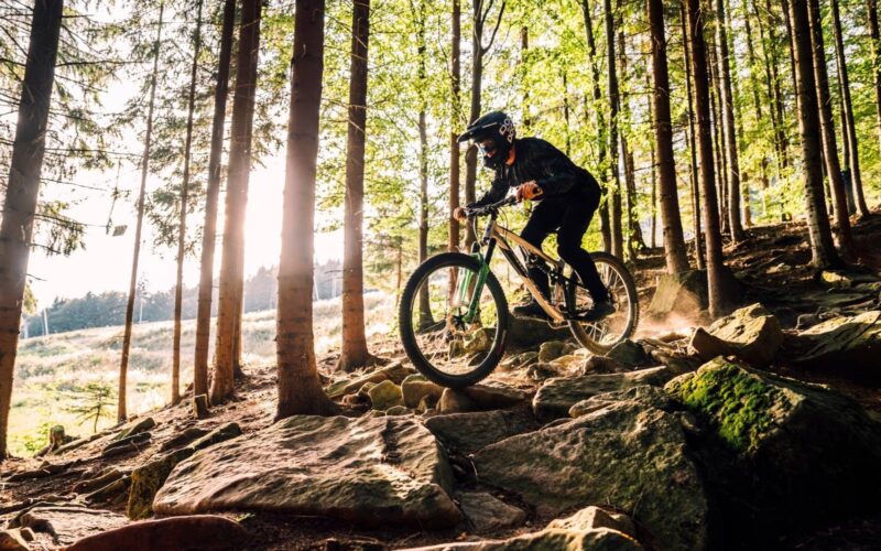 Basics of Riding Technique in a BIKE Park: Braking, Corners, Body Position